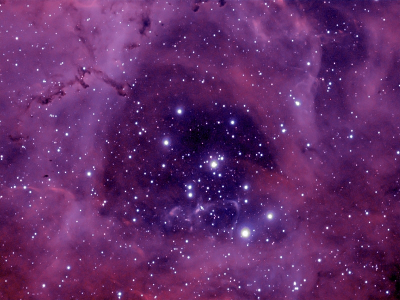 2009-01-19 - Rosette Nebula