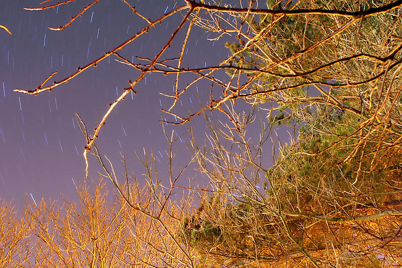 2009-12-10 - StarTrails