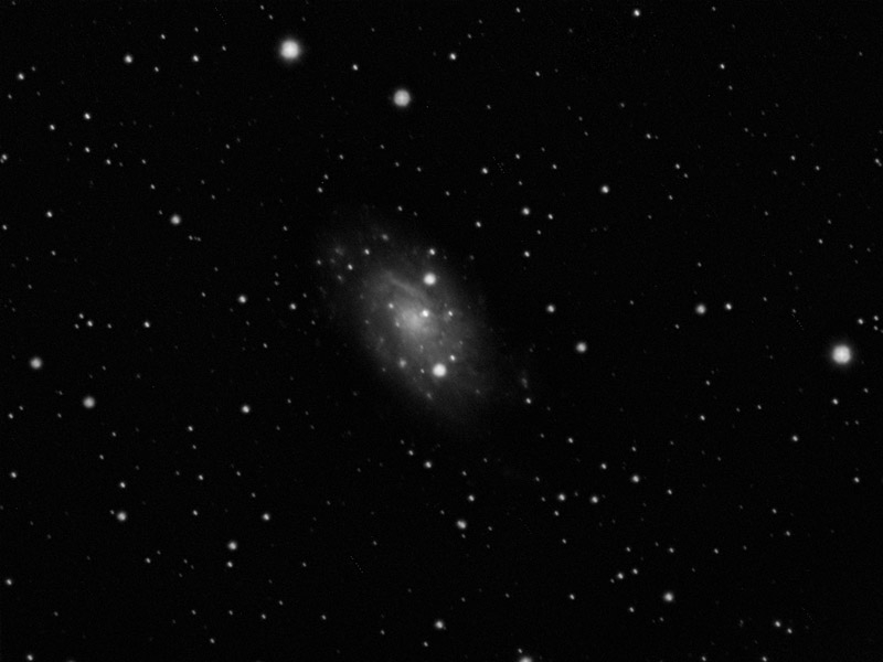 NGC2403_1