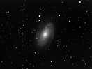 Messier 81 - Bodes Galaxy