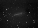 NGC4236