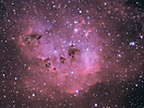 2010-11-12 - IC410