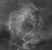 2010-03-01 - Rosette Nebula - Ha Only