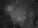 NGC2264_2