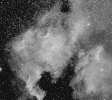 NGC7000_8